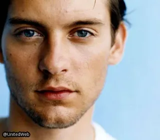 😎 Tobey Maguire actor, celebrity, portrait, tobey, maguire telegram sticker