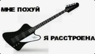 🎸 МНЕ ПОХУЙ
Я РАССТРОЕНА guitar, music, russian, meme, instrument, black and white telegram sticker