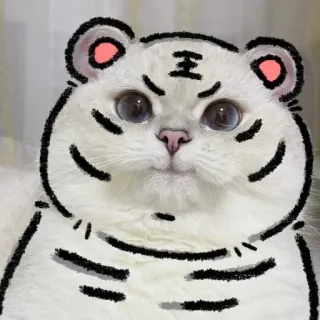 🐾 王 chat, tigre, mignon, animal, dessin telegram sticker