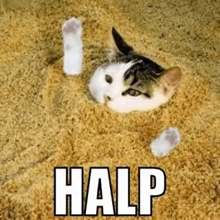 😾 HALP gato, areia, ajuda, engraçado, animal, meme whatsapp sticker