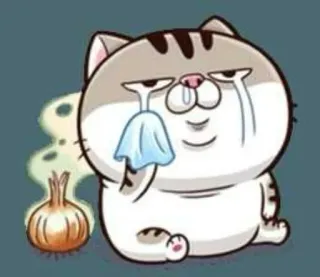 😓 katze, weinen, zwiebel, traurig, tränen, cartoon, sticker telegram sticker