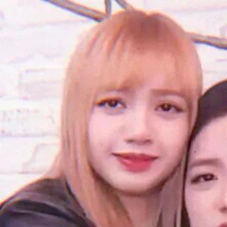 😣 Lisa person, woman, portrait, celebrity, idol, kpop, singer whatsapp sticker