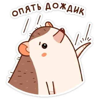 ☔️ опять дождик hedgehog, cartoon, rain, russian, animal telegram sticker