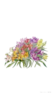 💐 цветы, букет, цветочный, акварель, весна, природа, растение telegram sticker