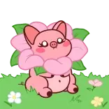 🌸