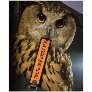 ™️ ПУСТЬ ВСЁ БУДЕТ УГУ owl, bird, animal, cute, caption, funny, russian telegram sticker
