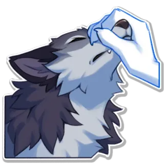🔇 หมาป่า, น่ารัก, สัตว์เลี้ยง, สัตว์, มีขน telegram sticker