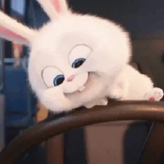 🐰 Snowball The Secret Life of Pets Hase, Kaninchen, weiß, flauschig, niedlich, Tier, Cartoon telegram sticker