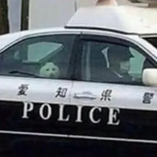 🚓 愛知県警察 POLICE voiture de police, japon, police, voiture, véhicule telegram sticker