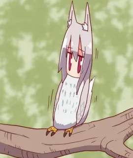 🦊 Anime, Kawaii, Fofo, Coruja, Pássaro, Desenho animado telegram sticker