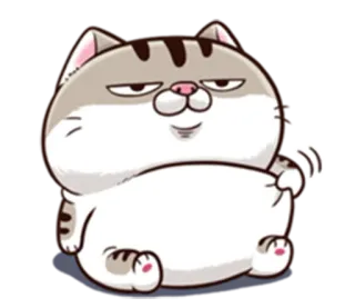 🙄 Katze, süß, Tier, Aufkleber, Cartoon whatsapp sticker