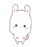 🤔 토끼, 귀여운, 카와이, 동물, 바니, 스티커, 애니메이션 telegram sticker
