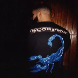 💡 SCORPION scorpione, animale, aracnide, abbigliamento telegram sticker