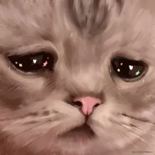 🥺 chat, triste, mignon, animal, animal de compagnie whatsapp sticker