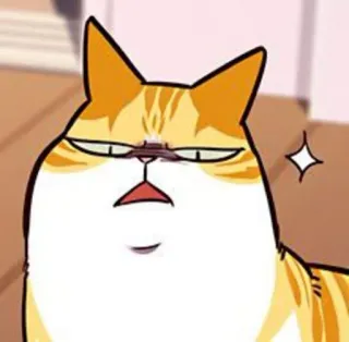 🤨 gato, gato naranja, dibujo animado, animal, lindo, pegatina telegram sticker