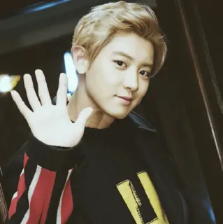 🗼 uomo, ritratto, persona, kpop, chanyeol, idolo telegram sticker