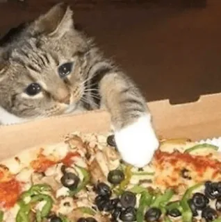 😩 猫, ピザ, 食べ物, 可愛い, 動物, しま模様, お腹が空いた telegram sticker