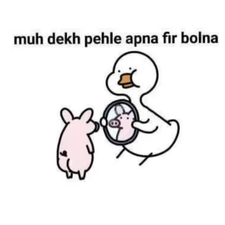 🐦 muh dekh pehle apna fir bolna duck, pig, mirror, cartoon, animal, meme telegram sticker