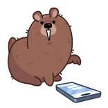 🤩 bear, cartoon, animal, smartphone, thinking telegram sticker