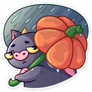 ☔️ cerdo, calabaza, lluvia, triste, lindo, dibujo animado, animal, otoño telegram sticker