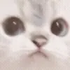 😠