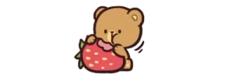 🍓 oso, fresa, lindo, kawaii whatsapp sticker