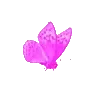 🦋