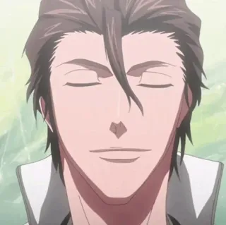😌 Sosuke Aizen Bleach anime, manga, villain, calm, smug telegram sticker