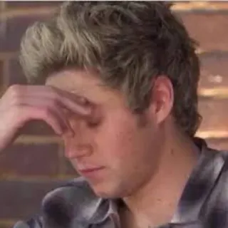 🤦‍♀ Niall Horan niall horan, one direction, frustrated, head in hand, celebrity, boy band, singer telegram sticker