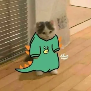 🔰 chat, dinosaure, mignon, chaton, animal, animal de compagnie, dessin telegram sticker