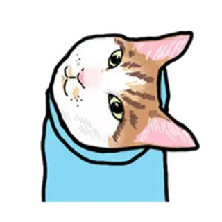 🙃 kucing, imut, hewan, peliharaan, anak kucing, unik, kartun telegram sticker