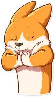 🙏 corgi, perro, pacífico, calmado, meditación, mono, dibujos animados, animal whatsapp sticker
