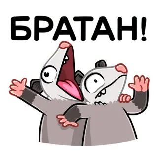🤪 БРАТАН! zarigüeya, hermano, amigo, dibujo animado, pegatina, animal whatsapp sticker