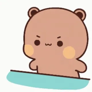 🤨 bear, cartoon, cute, animal, illustration whatsapp sticker