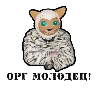 👻 cat, animal, mask, costume, fur coat telegram sticker