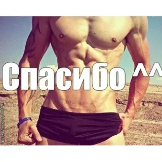 😊 Спасибо ^^ man, torso, buikspieren, bedankt, russisch telegram sticker