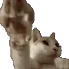 🫸