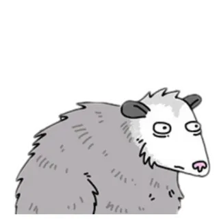 🦝 gambá, desenho animado, animal, mamífero, marsupial, fofo, engraçado telegram sticker