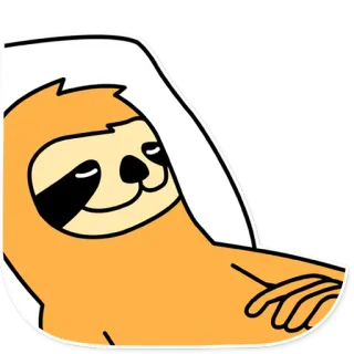 💤 paresseux, animal, mignon, paresseux, dessin animé, endormi, lent whatsapp sticker