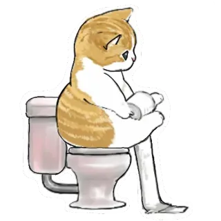 🚽 gato, inodoro, baño, animal, divertido, lindo whatsapp sticker