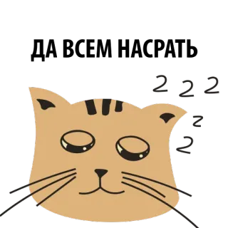💩 zzz gato, dormindo, zzz, desenho animado, animal, fofo telegram sticker