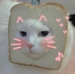 😳 cat, bread, cute, animal, pet, kawaii whatsapp sticker