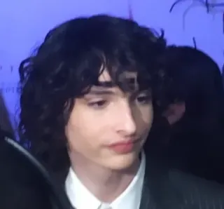 🎸 Finn Wolfhard attore, celebrità, ritratto, Finn Wolfhard telegram sticker