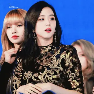 🦄 Jisoo all this page K-pop, Blackpink, Джису, Айдол, Корейский, Музыка whatsapp sticker