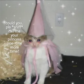 😭 could you.. 
pls *sniff*
call me
your
princess
one-one
more
time?
@wags tail kucing, putri, lucu, hewan peliharaan, binatang telegram sticker