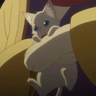 🎗 кот, котенок, милый, животное, питомец, белый, аниме telegram sticker