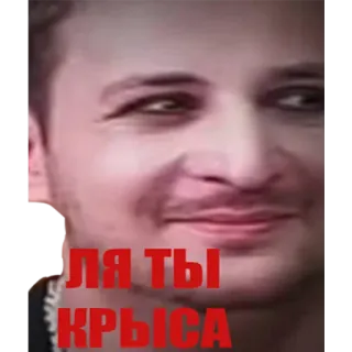 😒 ЛЯ ТЫ КРЫСА whatsapp sticker