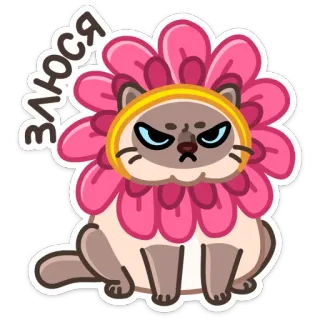 😡 ЗЛЮСЯ кот, цветок, злой, милый, наклейка, мультфильм, животное telegram sticker