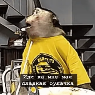 🐵 Иди ка мне мая сладкая булочка mono, camiseta, meme, animal, gracioso, ruso whatsapp sticker
