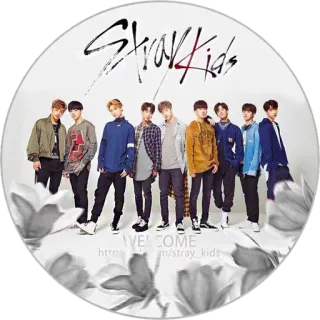 ❤️ Stray Kids
WELCOME Stray Kids, K-pop group, music, band, entertainment, Korean pop, idol group telegram sticker